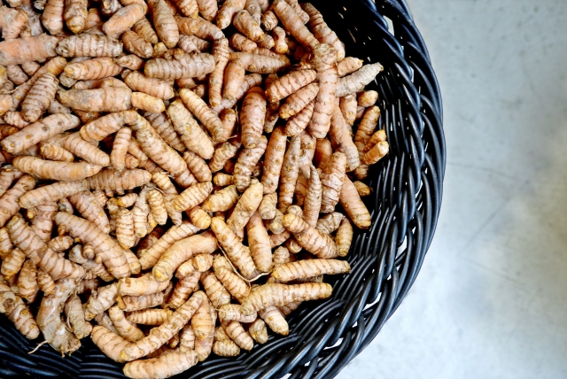 ウコンの選び方と植え付け