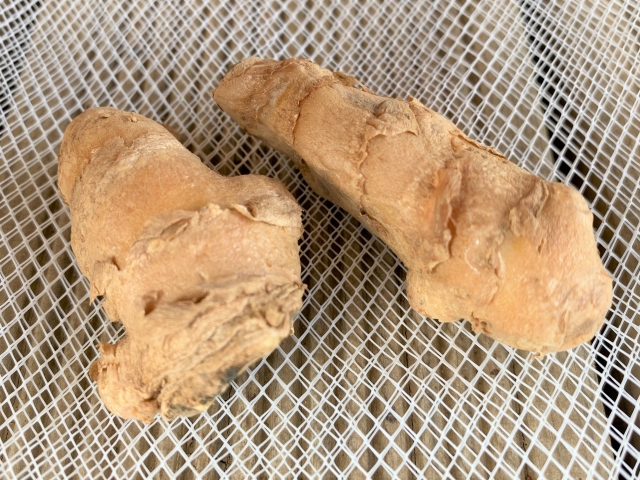 ウコンの育て方を紹介！初心者でもチャレンジしてみよう