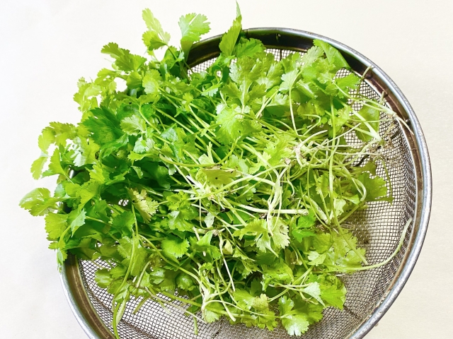 パクチーを使った料理レシピ